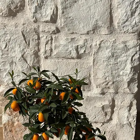 Villa Charme *